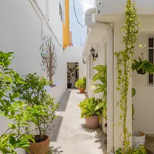 Palmas Centro 3* Cancún